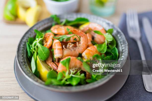 shrimps with lamb's lettuce on plate - mache stock pictures, royalty-free photos & images