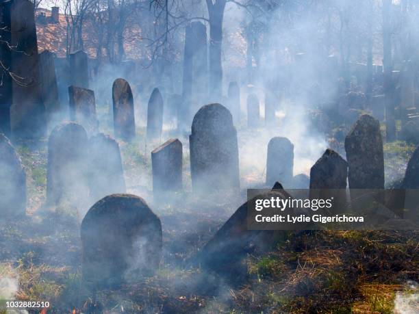 cemetery headstones in veil of mist, jewish cemetery in straznice, hodonin district, southern moravia, czech republic - place of burial stock pictures, royalty-free photos & images