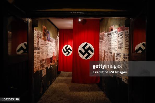 386 fotos e imágenes de Bandera Nazi - Getty Images
