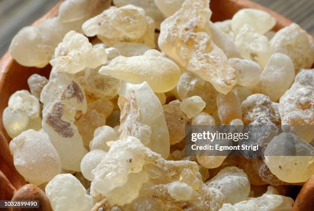 frankincense, incense, sultanate of oman, yemen, arabia, middle east - olibanum bildbanksfoton och bilder