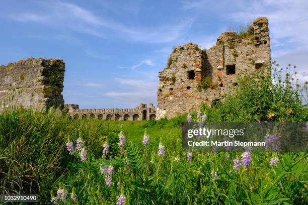 Ballaj Photos and Premium High Res Pictures Getty Images