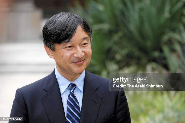 Crown Prince Naruhito of Japan speaks to media reporters after visiting the Petit Palais on September 13, 2018 in Paris, France.