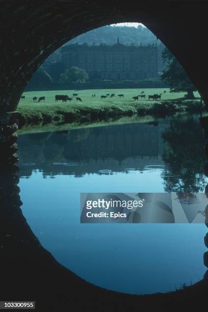 Cows graze in the grounds of Chatsworth House which is situated close to the River Derwent in the Peak District, circa 1980.