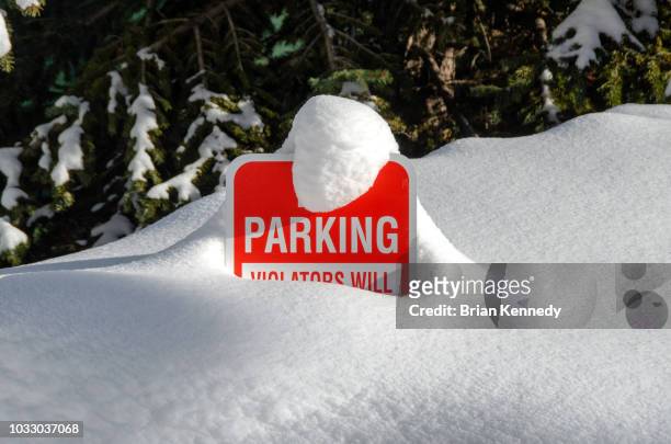 no parking sign buried in snow - neige fraîche photos et images de collection