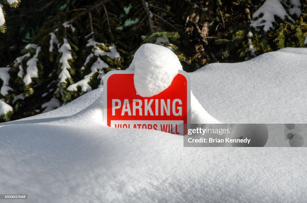 No Parking Sign Buried in Snow