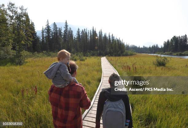 family walks along wooden boardwalk, above marsh - canmore stockfoto's en -beelden