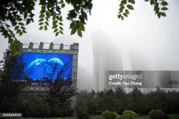 Dense fog enveloped Harbin on September 14, 2018 in Harbin, China. The meteorological department issued a yellow alert for dense fog