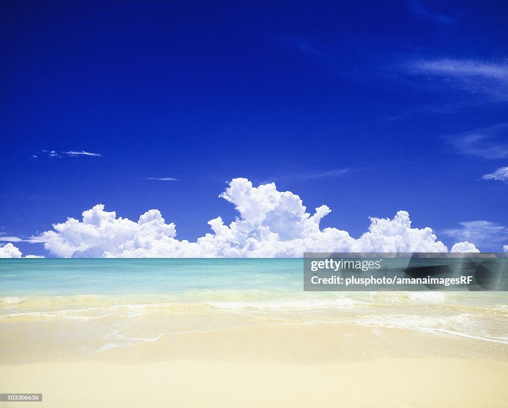 Beach in Oahu, Hawaii, USA