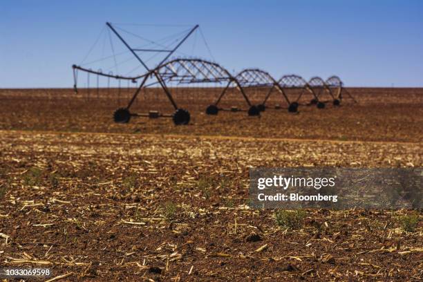 Harvested corn field stands on the Ehlerskroon farm, outside Delmas in the Mpumalanga province, South Africa on Thursday, Sept. 13, 2018. A legal...