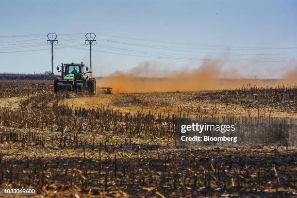 Tractor ploughs ground through a harvested corn field on the Ehlerskroon farm, outside Delmas in the Mpumalanga province, South Africa on Thursday,...