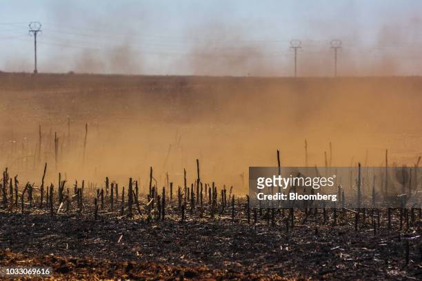Trail of dust sits in the air as a tractor ploughs ground through a harvested corn field on the Ehlerskroon farm, outside Delmas in the Mpumalanga...