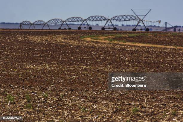 Harvested corn field stands on the Ehlerskroon farm, outside Delmas in the Mpumalanga province, South Africa on Thursday, Sept. 13, 2018. A legal...