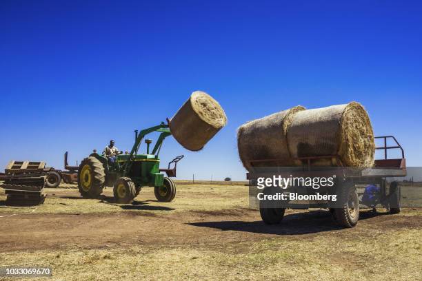Worker uses a tractor to lift bails of hay into a truck on the Ehlerskroon farm, outside Delmas in the Mpumalanga province, South Africa on Thursday,...