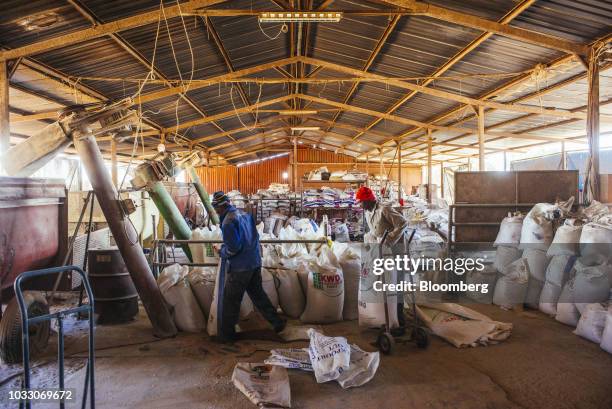 Workers bag up livestock feed into sacks ready for shipping on the Ehlerskroon farm, outside Delmas in the Mpumalanga province, South Africa on...