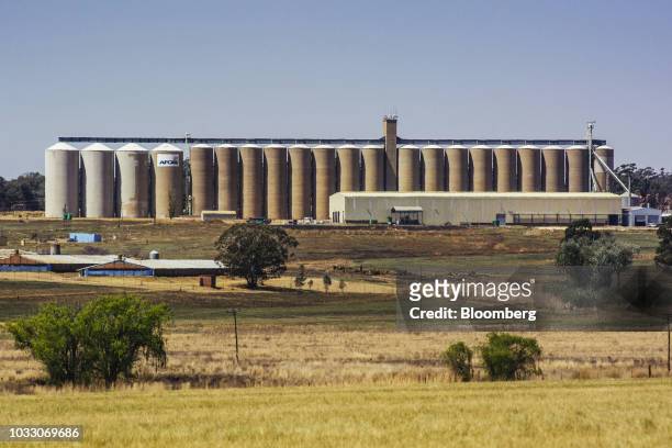 Silos stand on the Ehlerskroon farm, outside Delmas in the Mpumalanga province, South Africa on Thursday, Sept. 13, 2018. A legal battle may be...