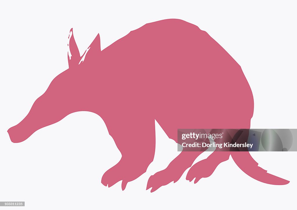 Digital illustration of pink silhouette of Aardvark