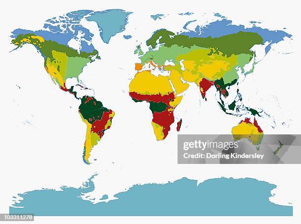 Biomes Visualization Digital Illustration Of World Biomes High-Res Vector Graphic - Getty Images