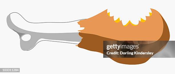 illustration of chicken drumstick with missing bite - chicken drumstick white background stock illustrations