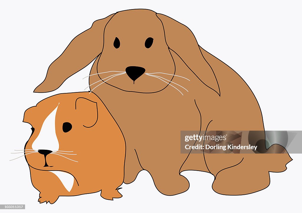 Digital illustration of guinea pig and large rabbit