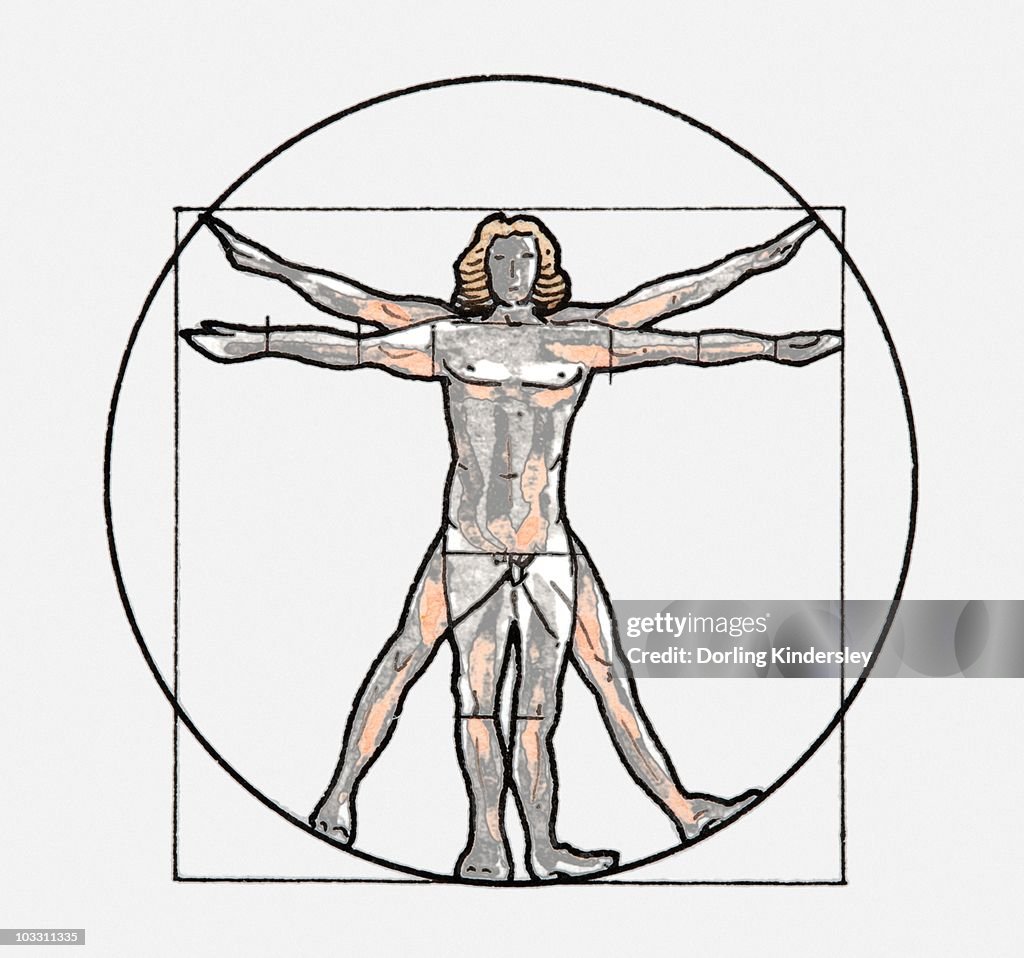Illustration of Vitruvian man symbol
