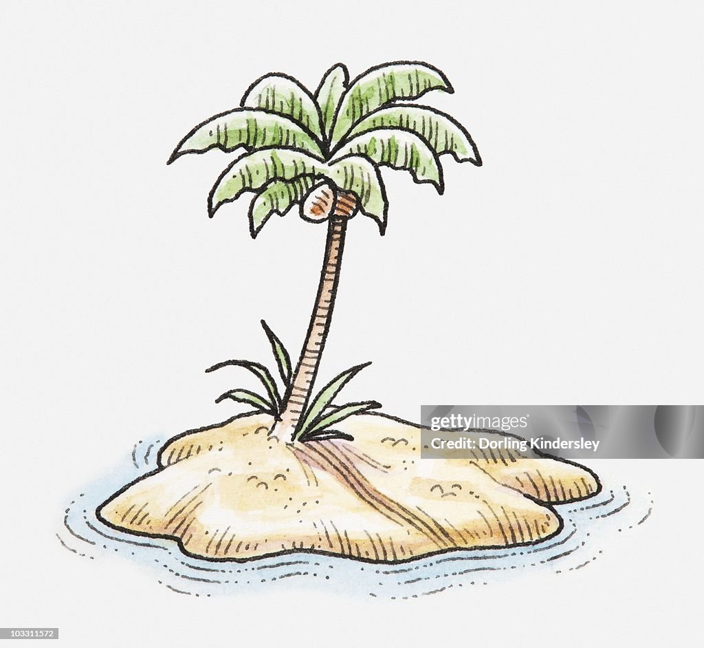Illustration of coconut palm tree on desert island