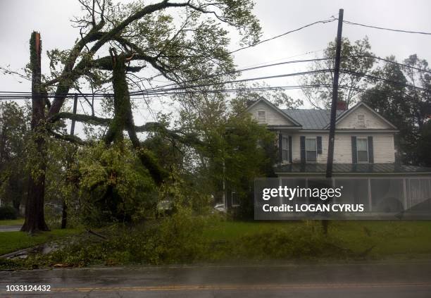 11 Pollocksville North Carolina Stock Photos, HighRes Pictures, and