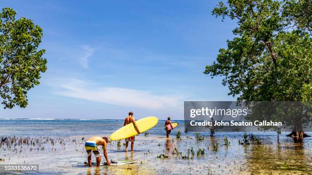 the philippines, surfing in mindanao - davao city stockfoto's en -beelden