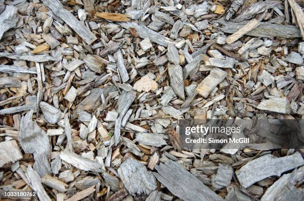 weathered wood chips used as mulch on a garden bed - mulch stock pictures, royalty-free photos & images