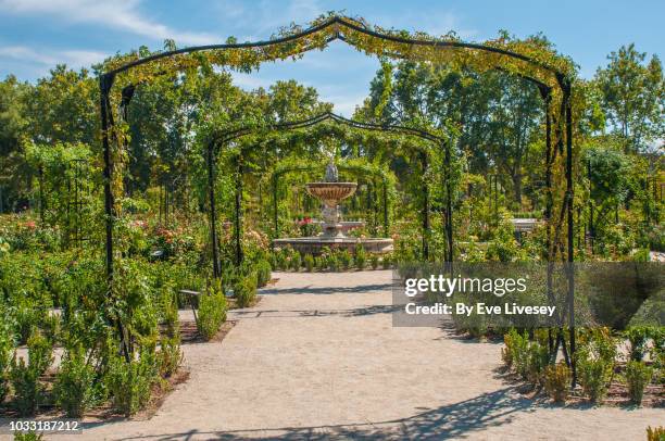 rose garden - parque del buen retiro stock pictures, royalty-free photos & images