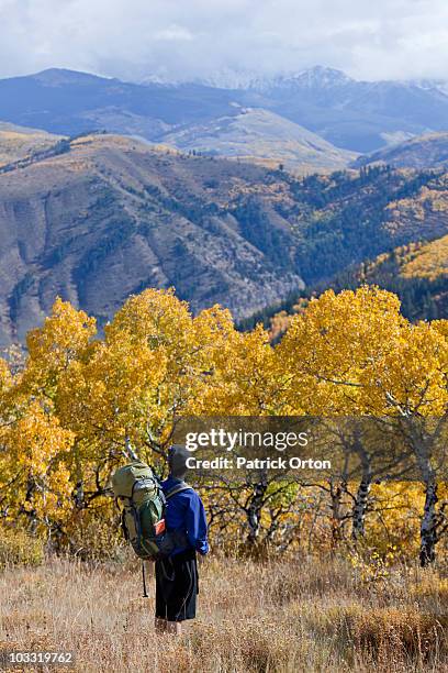 a male hiker overlooks fall colors in colorado. - beaver creek colorado stock pictures, royalty-free photos & images