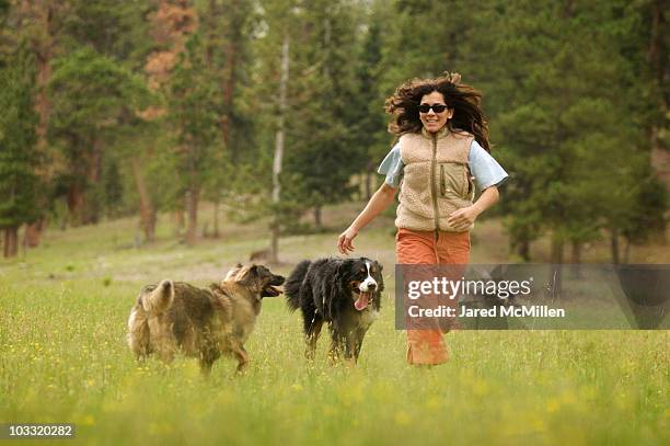 women playing with her dog in the mountains. - nevada flowers stock pictures, royalty-free photos & images