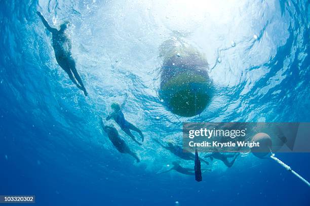 underwater view of swimmers rounding a bouy during an annual ocean swimming race in the tropical waters off of mana island, fiji. - fiji people stock pictures, royalty-free photos & images