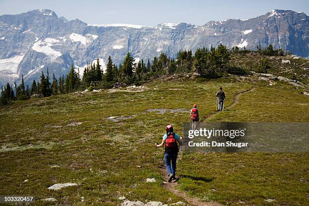 a group of hikers in the selkirk mountains. - rocky mountains stock pictures, royalty-free photos & images