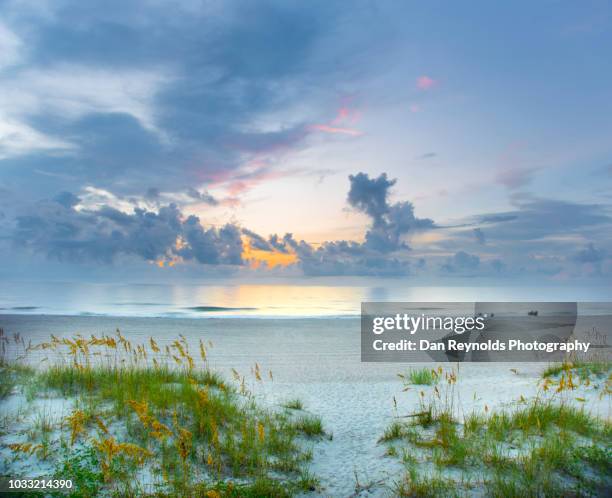 sunset in florida,usa - amelia island stock pictures, royalty-free photos & images