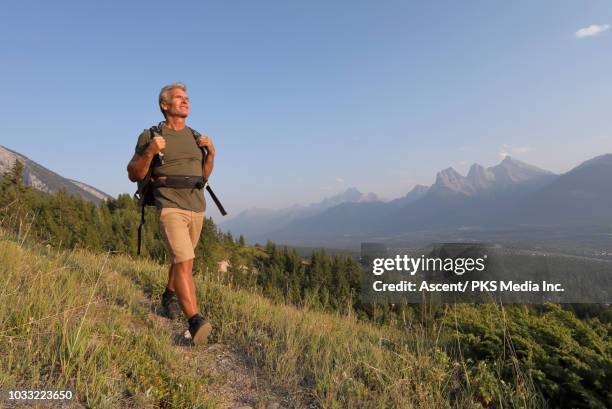 hiker follows alpine trail, looks off to view - clothes on clothes off photos 個照片及圖片檔