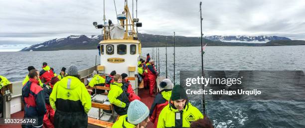panorama of tourist on a tourboat to watch whales - angel island stock-fotos und bilder