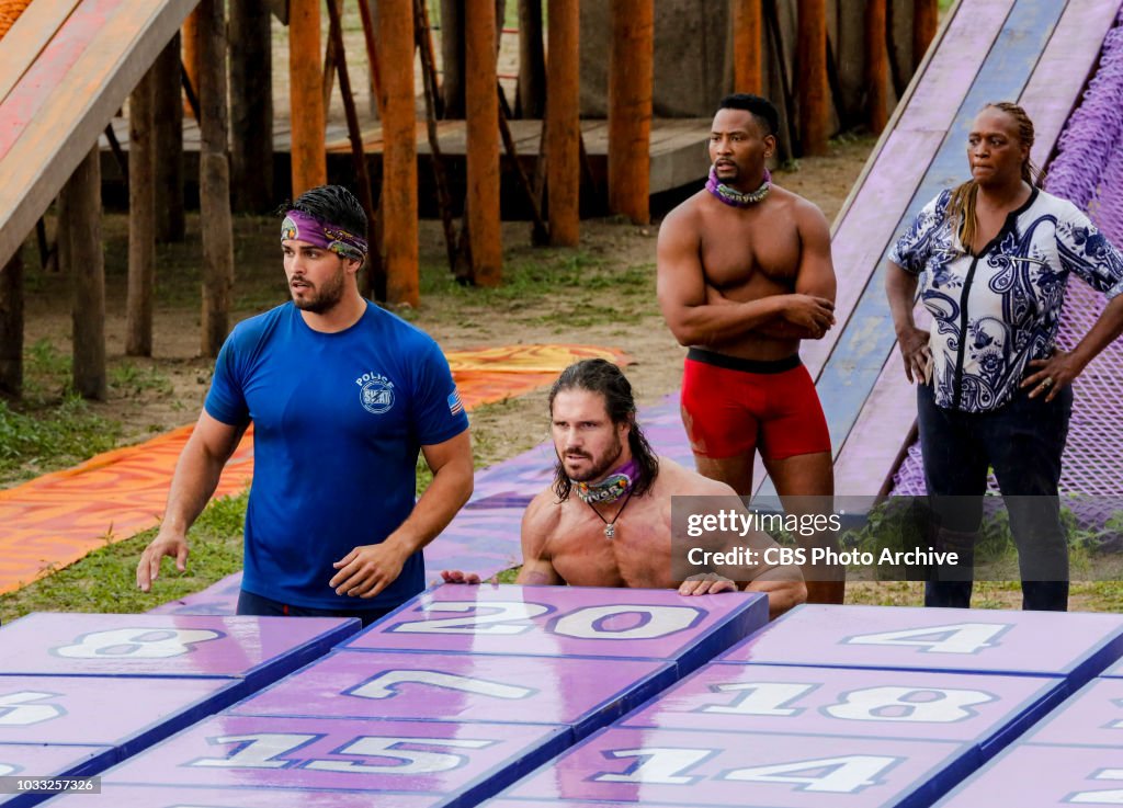 Survivor: David vs. Goliath