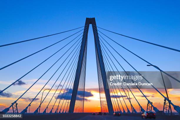 crossing the bridge - ponte sostenuto da cavi foto e immagini stock