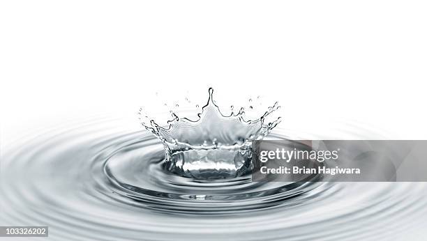 water on white - splash crown fotografías e imágenes de stock