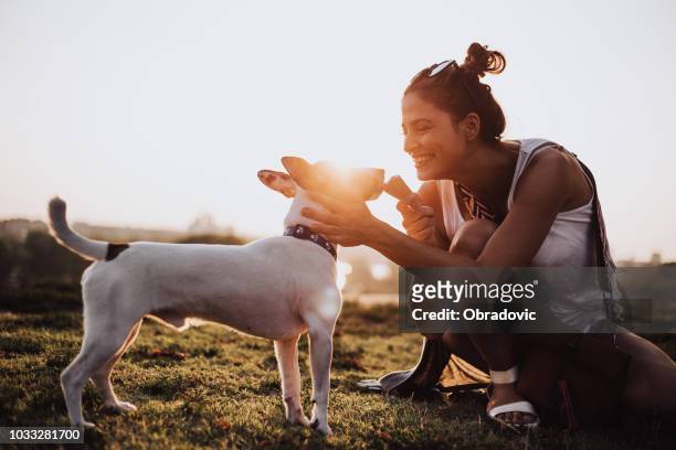 mooi meisje geeft hond een beloning - hond snoep - dog eating a girl out stockfoto's en -beelden