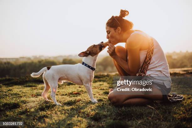 mädchen und hund essen eis zusammen in einem öffentlichen park in der stadt - dog eating a girl out stock-fotos und bilder