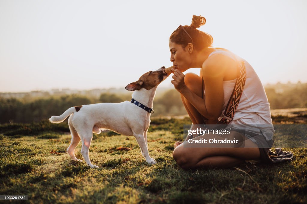 Menina e cachorro comendo um sorvete juntos em um parque público na cidade