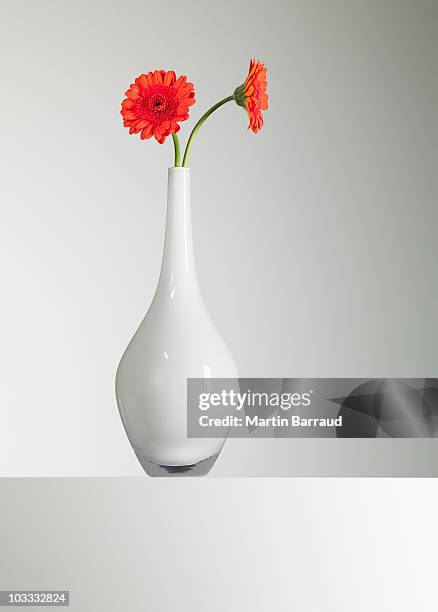 orange gerbera daisies in vase - vaas stockfoto's en -beelden