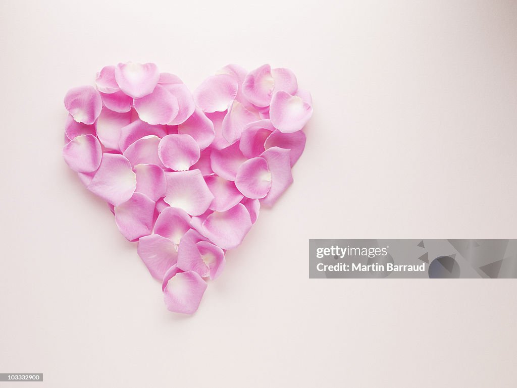 Pink rose petals forming heart-shape