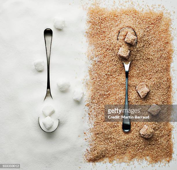 コントラストの砂糖、甘蔗糖とシュガーキューブ、スプーン - sugar ストックフォトと画像