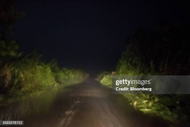 Fallen trees lie by the side of a road ahead of Typhoon Mangkhut's arrival in Tuguegarao, Cagayan province, the Philippines, on Friday, Sept. 14,...