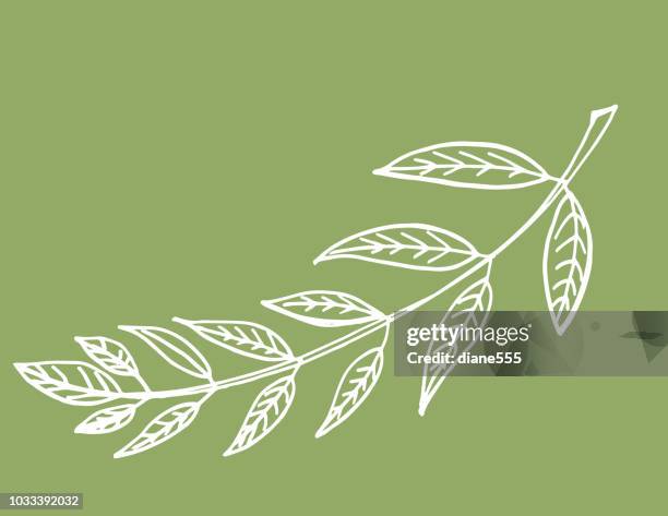 ilustraciones, imágenes clip art, dibujos animados e iconos de stock de dibujado a mano elementos de navidad vintage - rama de olivo