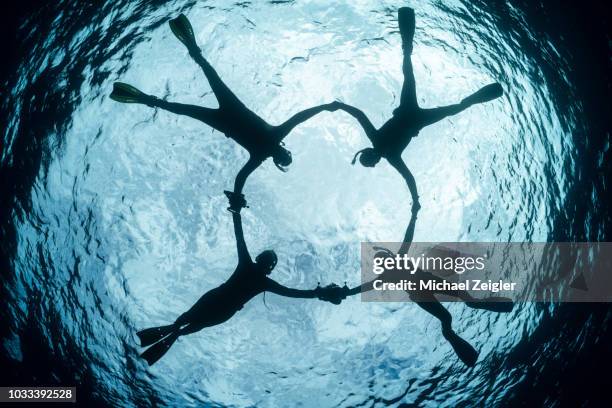 silhouette of snorkelers on the surface of the ocean - free diving stock pictures, royalty-free photos & images