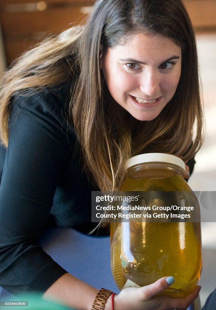 Orange County Register Archive