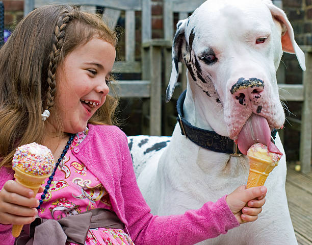 girl huge great dane dog with ice creams